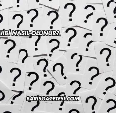 Bilgi Sahibi Nasıl Olunur?