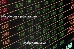 Bitcoin Cash (BCH) Nedir?
