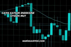 Cates Katılım Endeksine Uygun mu?