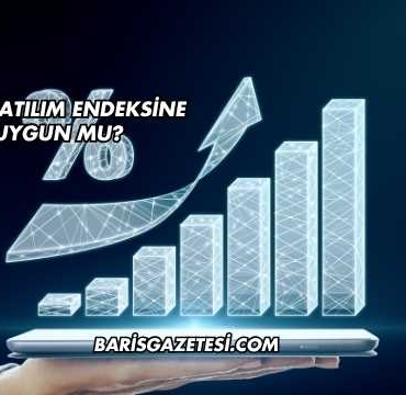 DMR Katılım Endeksine Uygun mu?