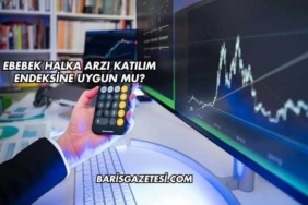 Ebebek Halka Arzı Katılım Endeksine Uygun mu?