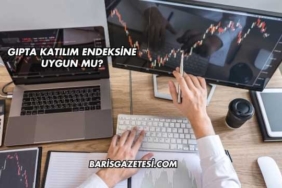 Gıpta Katılım Endeksine Uygun mu?