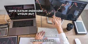 Gıpta Katılım Endeksine Uygun mu?