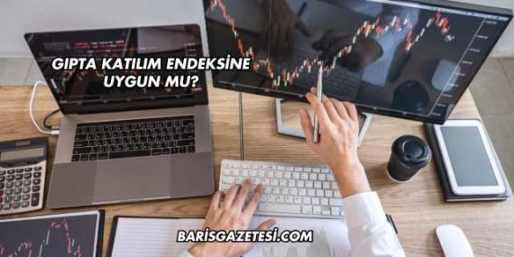 Gıpta Katılım Endeksine Uygun mu?