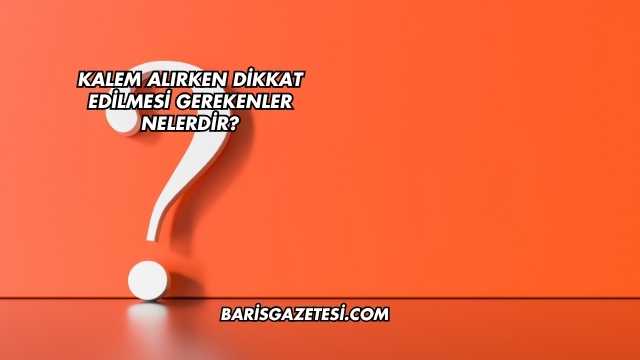 Kalem Alırken Dikkat Edilmesi Gerekenler Nelerdir?