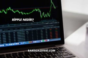 Ripple Nedir?