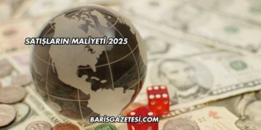 Satışların Maliyeti 2025