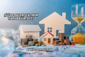 Şili'de Nelere Yatırım Yapılabilir 2025