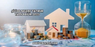 Şili'de Nelere Yatırım Yapılabilir 2025